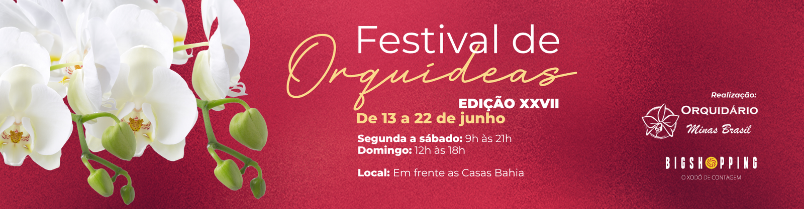 Design sem nome (3)